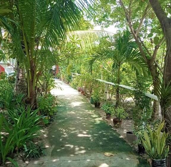 اتاق خانوادگی, Malapascua Beach And Dive Resort