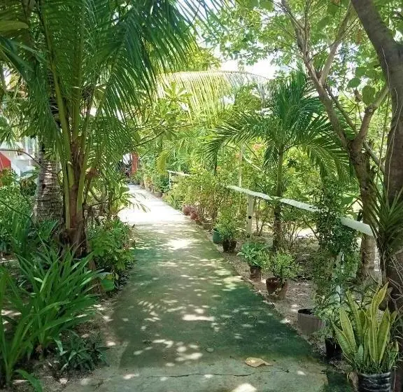 اتاق خانوادگی, Malapascua Beach And Dive Resort