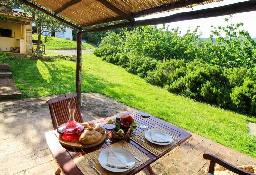 Апартаменты 1 Спальня Нижний Этаж, Agriturismo Boschi Di Montecalvi