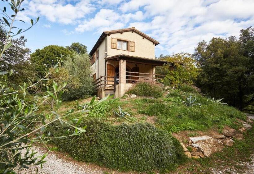 Апартаменты 1 Спальня с Террасой, Agriturismo Boschi Di Montecalvi