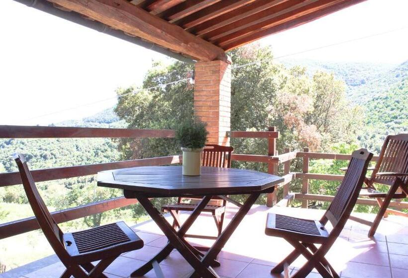 テラス付き１ベッドルームアパートメント, Agriturismo Boschi Di Montecalvi