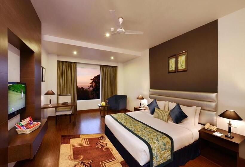 Номер Executive, M B Greens Clarks Inn