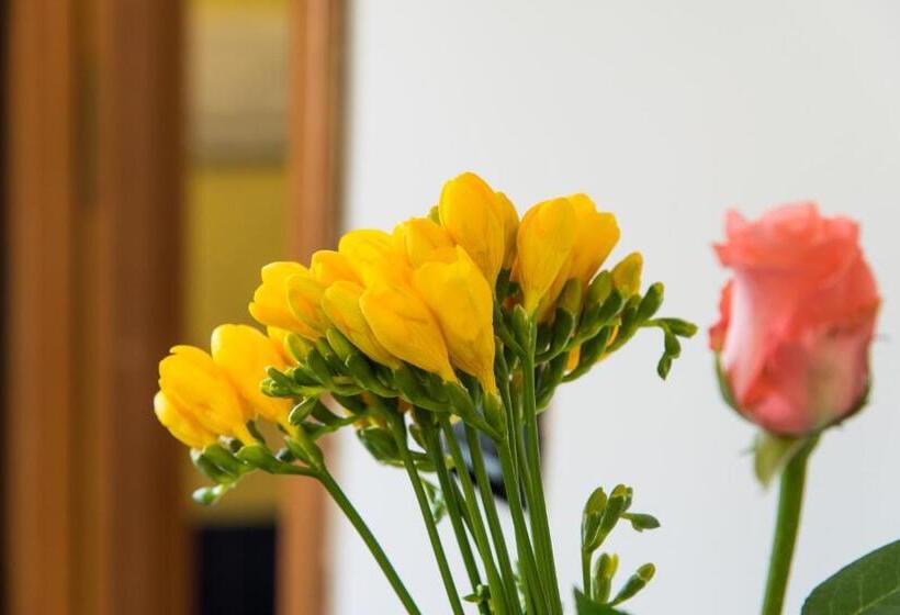 Номер Стандарт, Guest House Park Valmontone