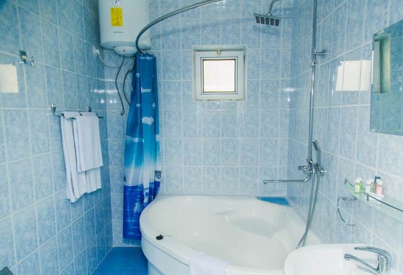 Habitació Estàndard, Art