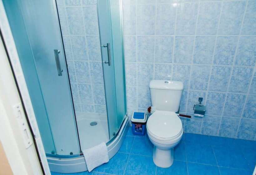 Junior Suite amb Balconada, Art