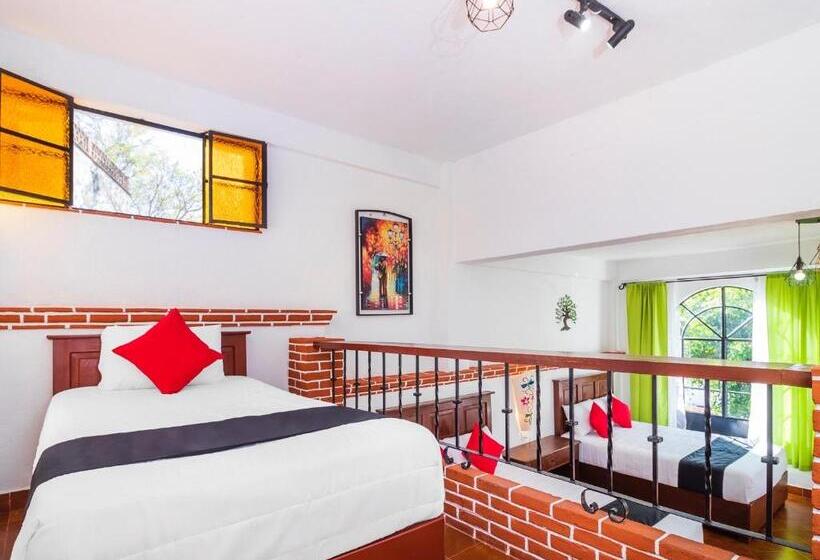 اتاق سوپریور خانوادگی, Cielito Lindo, Taxco