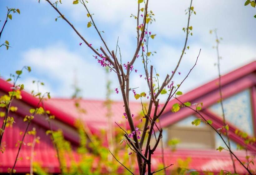 غرفة قياسية, Platan