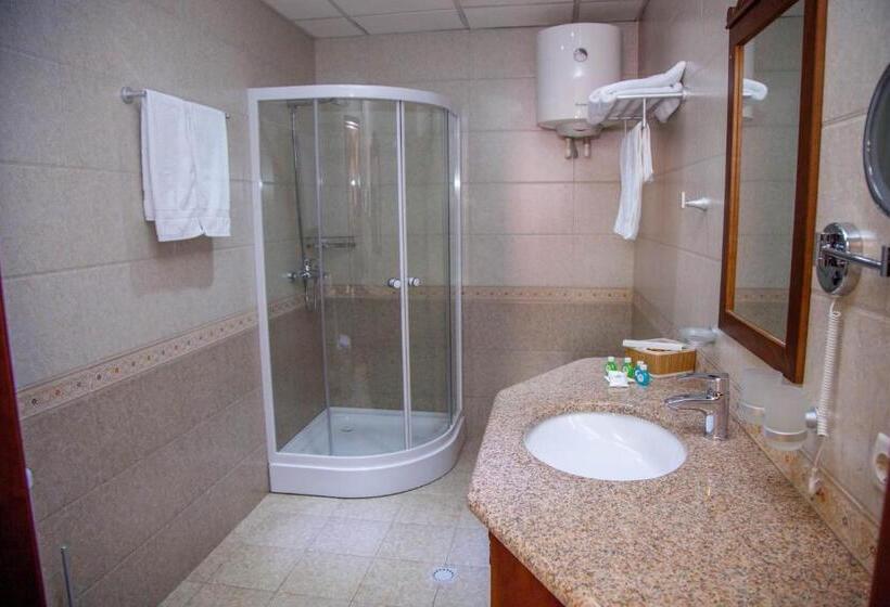 غرفة قياسية, Platan