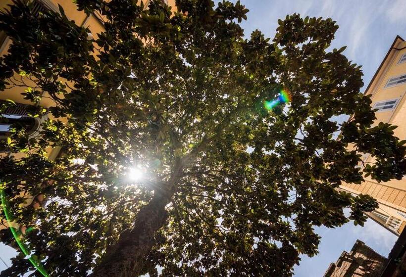 带共用浴室的标准房间, Villa Socini