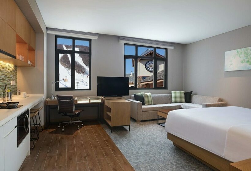 스탠다드 스튜디오 더블 침대, Element Chongli