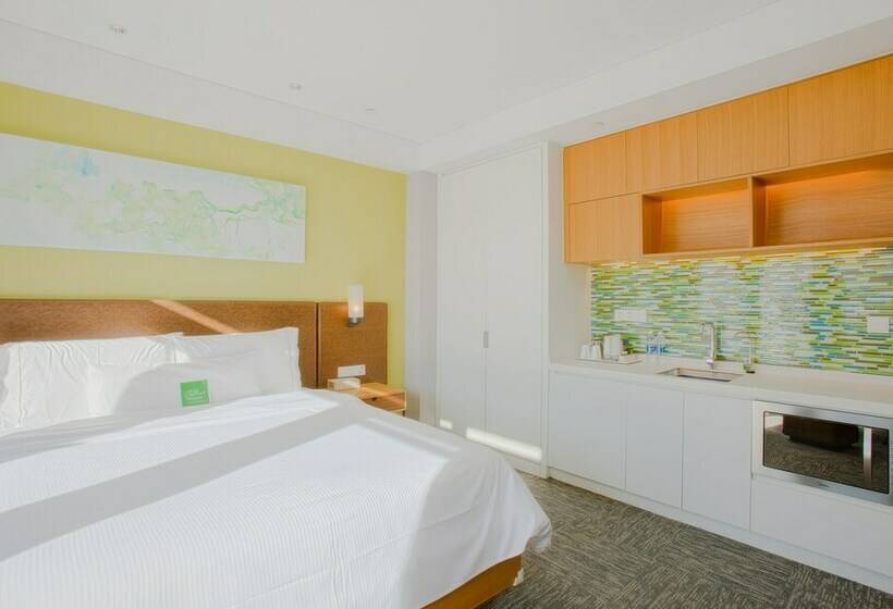 스탠다드 스튜디오 더블 침대, Element Chongli