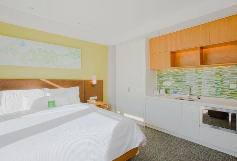 스탠다드 스튜디오 더블 침대, Element Chongli