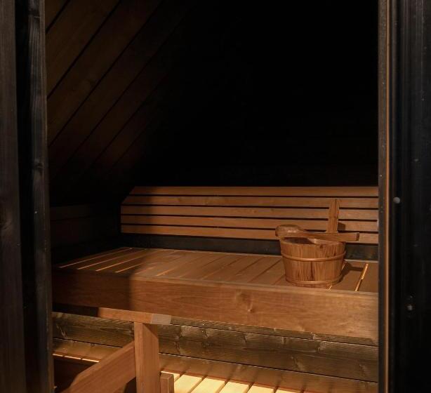 Люкс, Northern Lights Village Pyhä