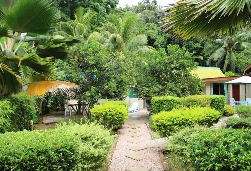 اتاق عادی, Belle Des Iles