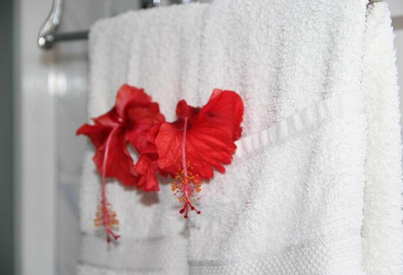 اتاق استاندارد با بالکن, Belle Des Iles