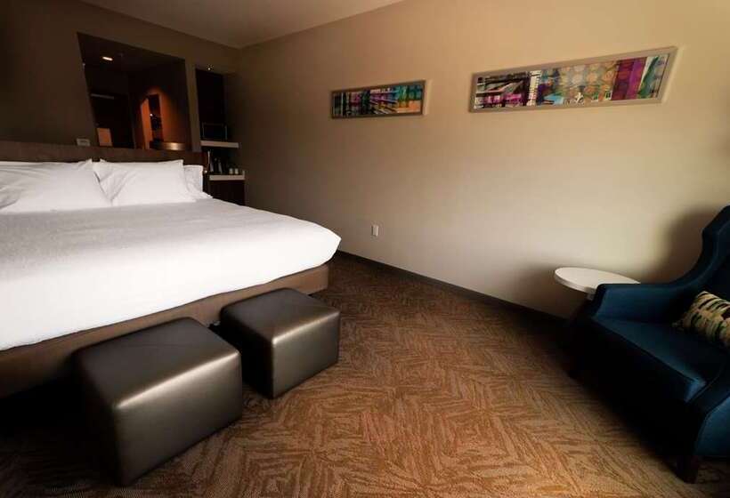 غرفة قياسية سرير كينج, Hilton Garden Inn Tampa Wesley Chapel, Fl