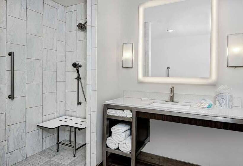 스탠다드 룸 킹사이즈 침대, Hilton Garden Inn Tampa Wesley Chapel, Fl