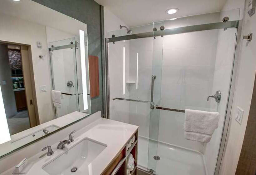 Стандартный Номер Кровать Кинг, Hilton Garden Inn Tampa Wesley Chapel, Fl