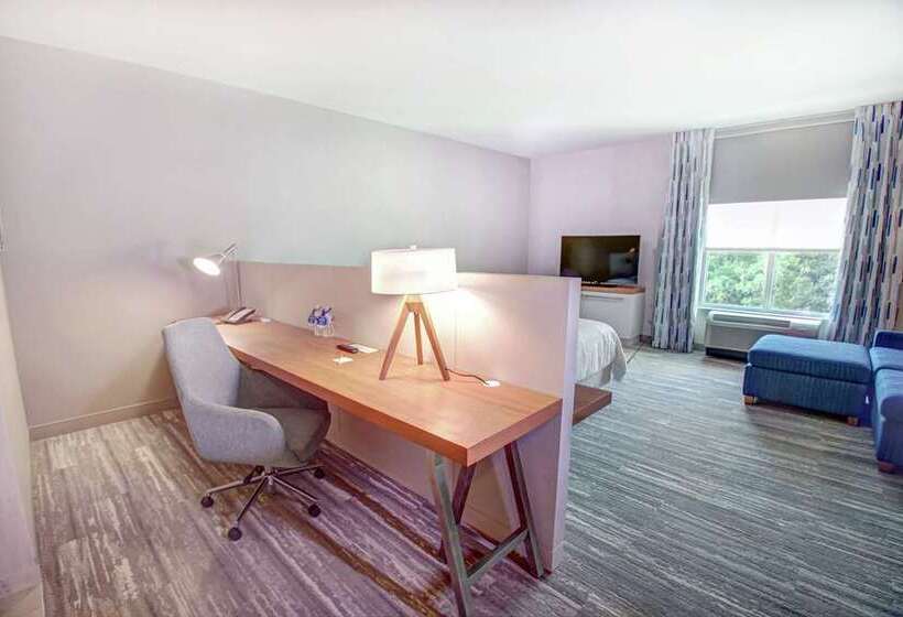 غرفة قياسية سرير كينج, Hilton Garden Inn Tampa Wesley Chapel, Fl