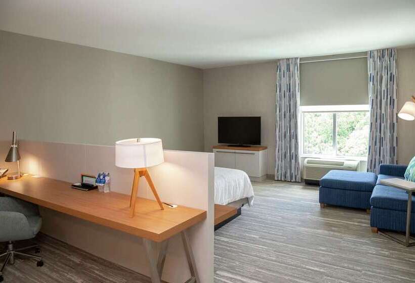스탠다드 룸 킹사이즈 침대, Hilton Garden Inn Tampa Wesley Chapel, Fl