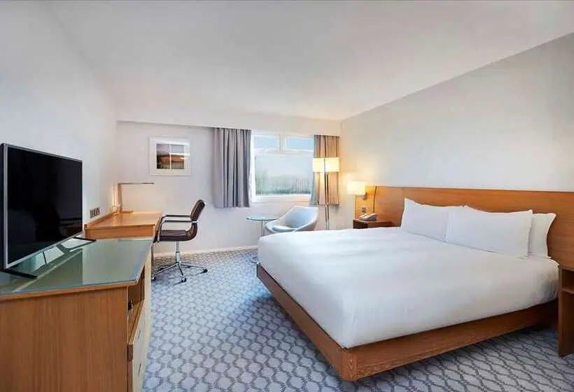 Premium-huone, Hilton Garden Inn Tampa Wesley Chapel, Fl