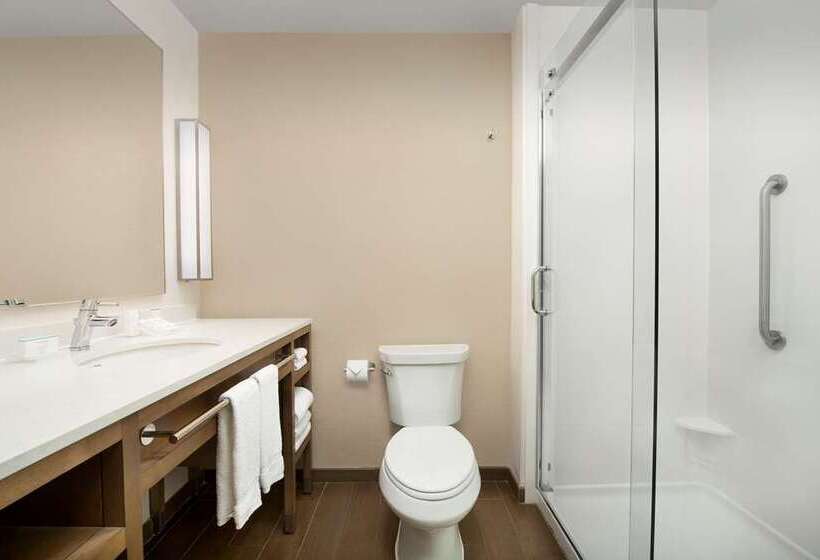 Номер Премиум, Hilton Garden Inn Tampa Wesley Chapel, Fl