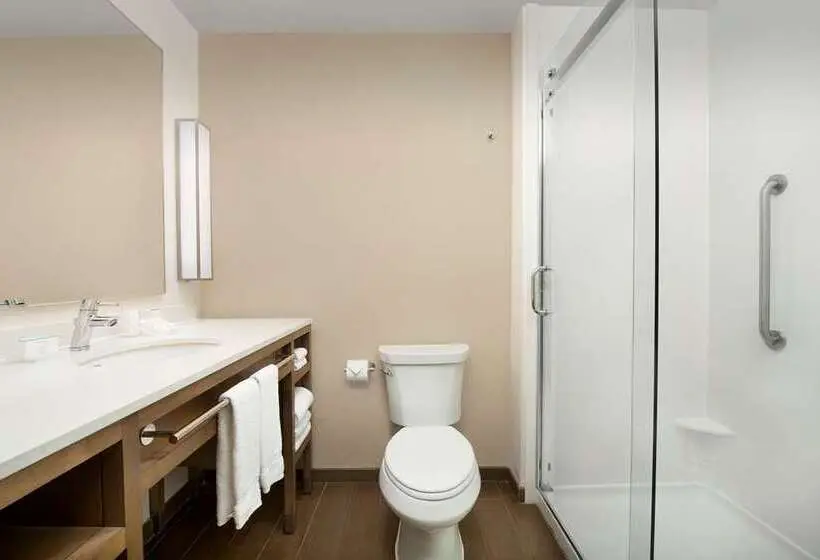 Premium-huone, Hilton Garden Inn Tampa Wesley Chapel, Fl