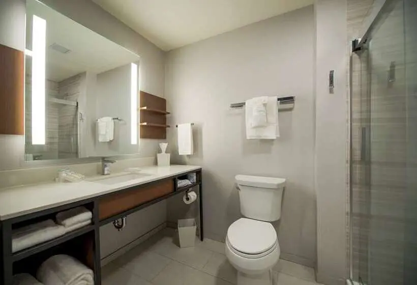 Premium-huone, Hilton Garden Inn Tampa Wesley Chapel, Fl
