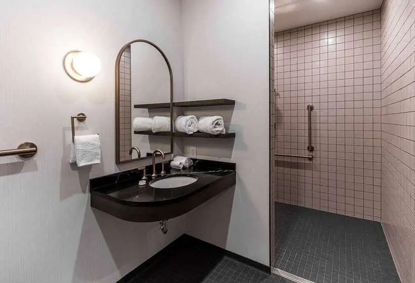 Deluxe-huone, Hilton Garden Inn Tampa Wesley Chapel, Fl