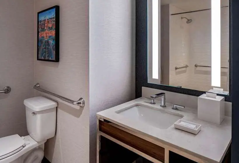 Deluxe-huone, Hilton Garden Inn Tampa Wesley Chapel, Fl