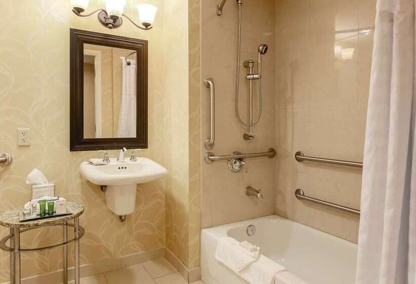 غرفة ديلوكس, Hilton Garden Inn Tampa Wesley Chapel, Fl