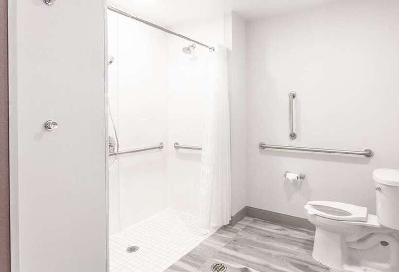 Номер Стандарт, Hilton Garden Inn Tampa Wesley Chapel, Fl