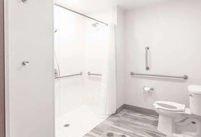 Standard-huone, Hilton Garden Inn Tampa Wesley Chapel, Fl