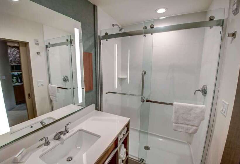 프리미엄 룸, Hilton Garden Inn Tampa Wesley Chapel, Fl
