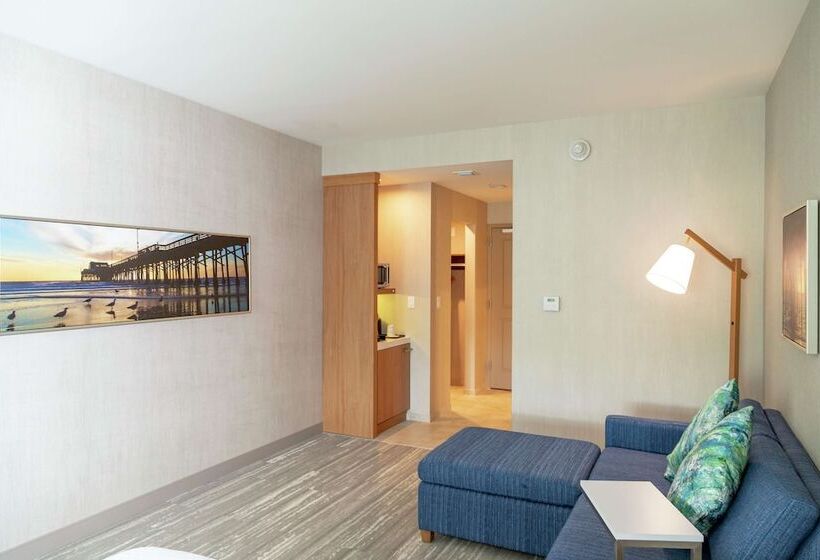 Номер Deluxe, Hilton Garden Inn Tampa Wesley Chapel, Fl