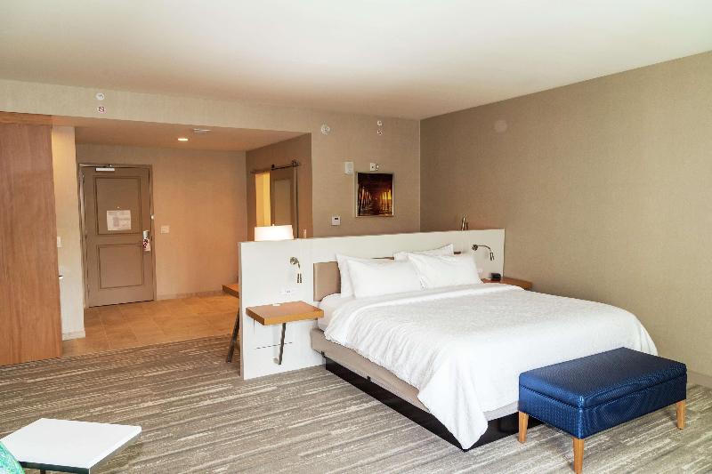 Номер Премиум, Hilton Garden Inn Tampa Wesley Chapel, Fl