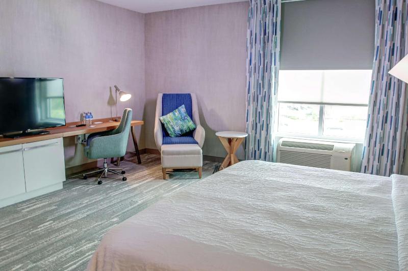 غرفة قياسية سرير كينج, Hilton Garden Inn Tampa Wesley Chapel, Fl