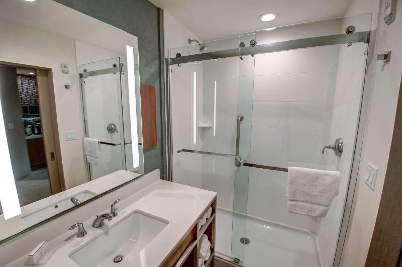 스탠다드 룸 킹사이즈 침대, Hilton Garden Inn Tampa Wesley Chapel, Fl