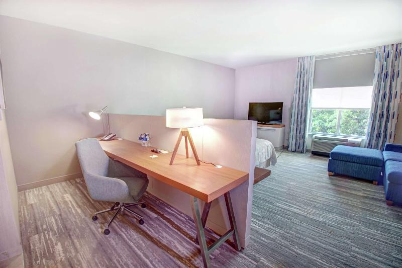 غرفة قياسية سرير كينج, Hilton Garden Inn Tampa Wesley Chapel, Fl