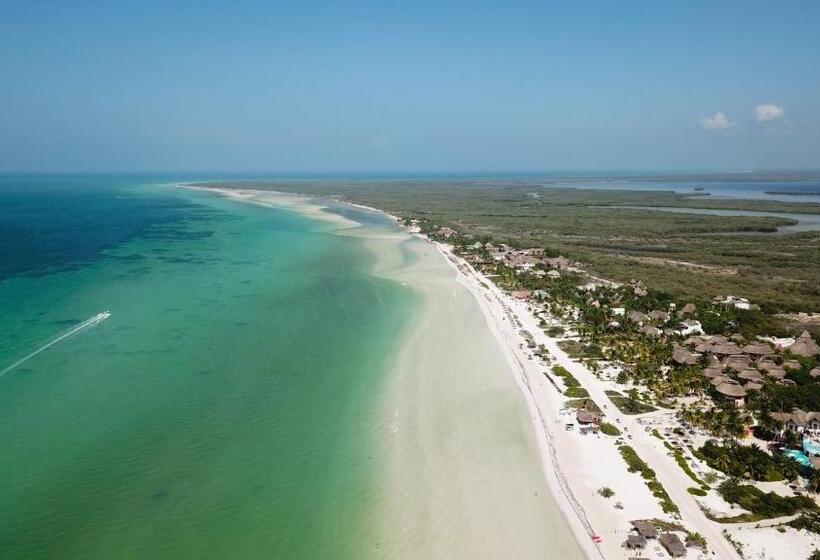 带1个卧室带观景的公寓, La Casa Del Alux   Adults Only