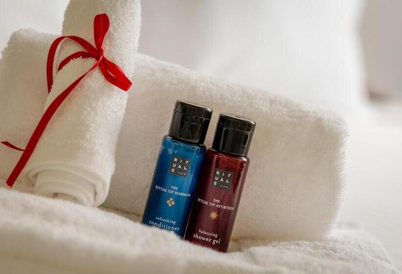 غرفة قياسية ذات إطلالة, Salamanca Luxury Plaza