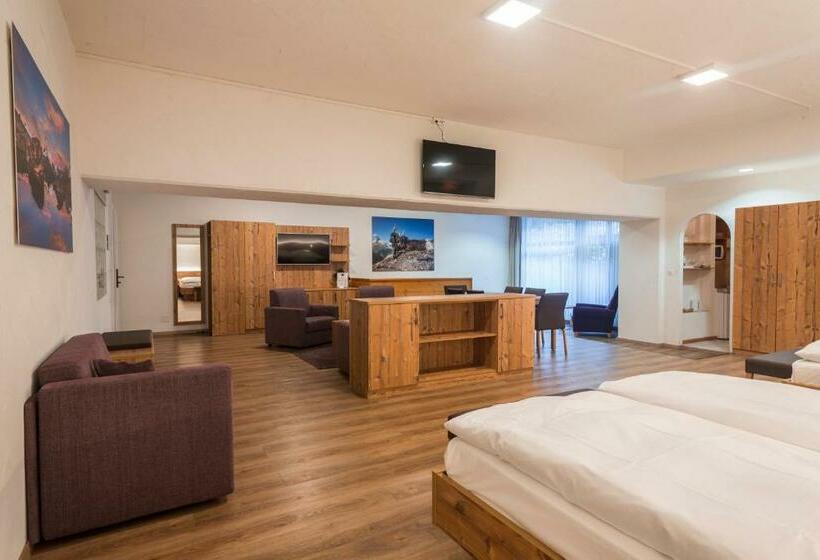 Номер Стандарт, Zermatt Budget Rooms