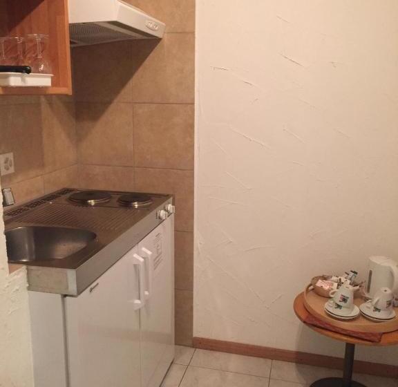 غرفة قياسية, Zermatt Budget Rooms