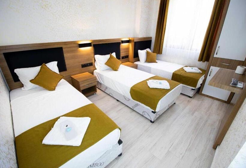 اتاق استاندارد سه نفره, Ersoy Aga Otel