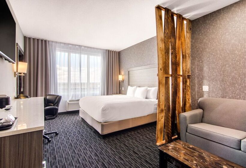 家庭套房, Comfort Inn & Suites