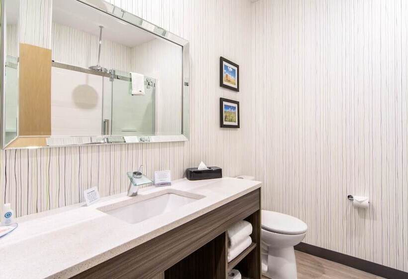 家庭套房, Comfort Inn & Suites