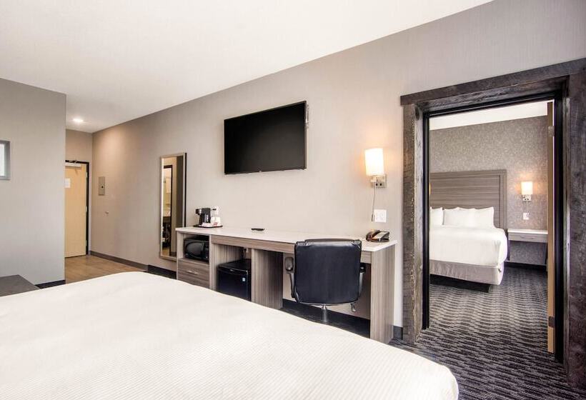家庭套房, Comfort Inn & Suites