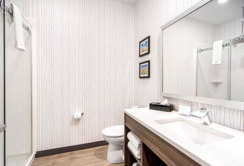 家庭套房, Comfort Inn & Suites