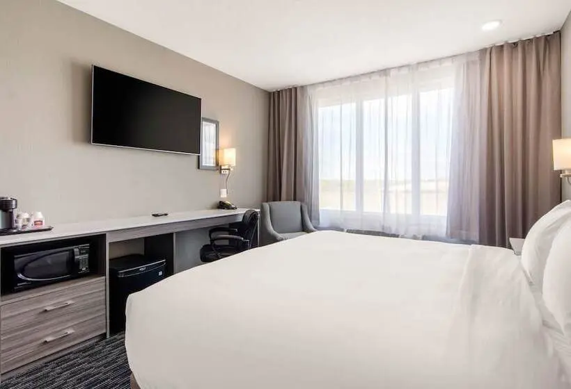 身障者適用キングサイズベッドルーム, Comfort Inn & Suites