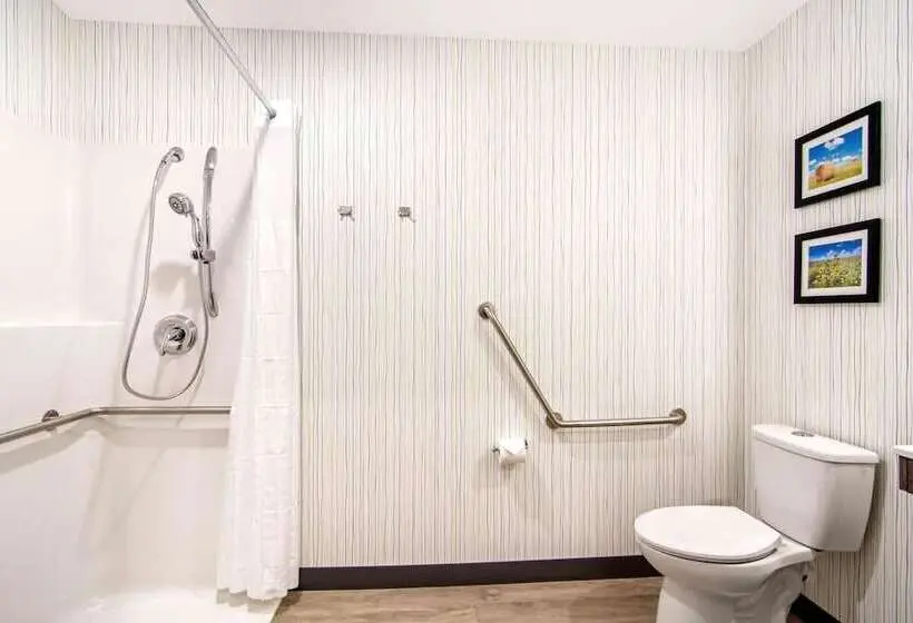 身障者適用キングサイズベッドルーム, Comfort Inn & Suites